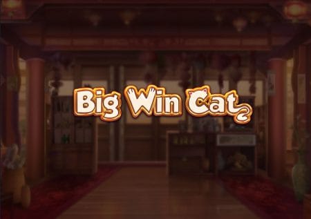 Big Win Cat